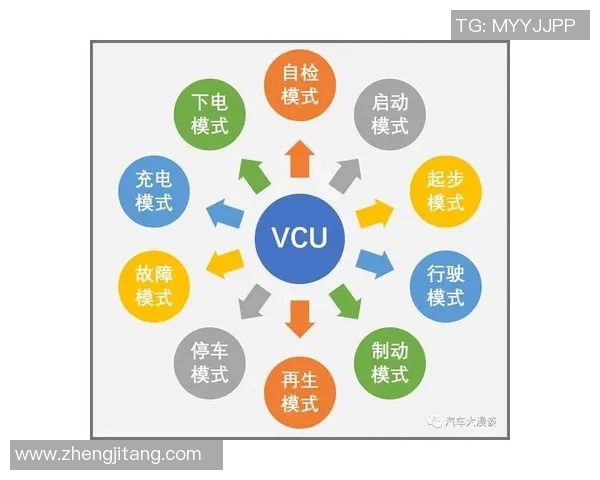 重庆篮球队的控制策略与发展前景深度解析